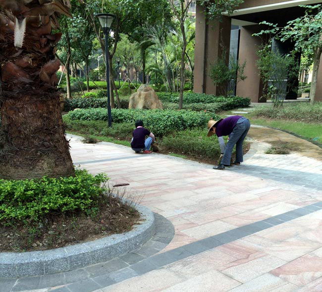 公園綠化養(yǎng)護 公園綠化養(yǎng)護